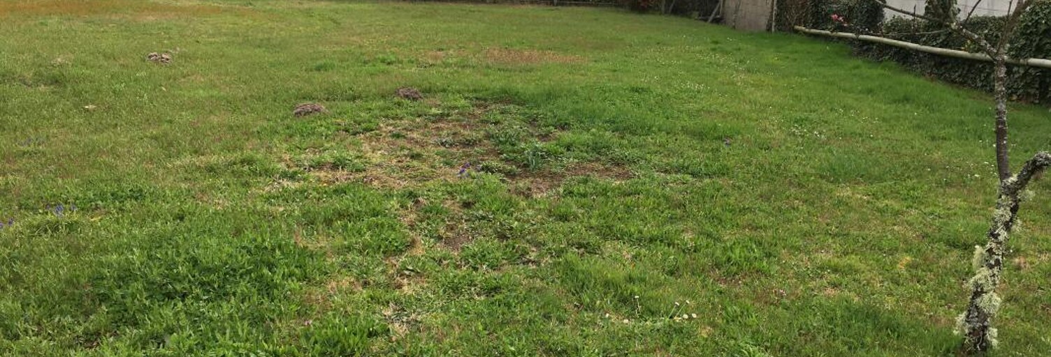 Terrain 457 m² à construire Ambarès-et-Lagrave (33440)