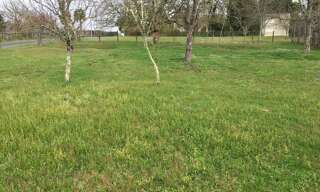 Terrain 937 m² à construire Cartelègue (33390)