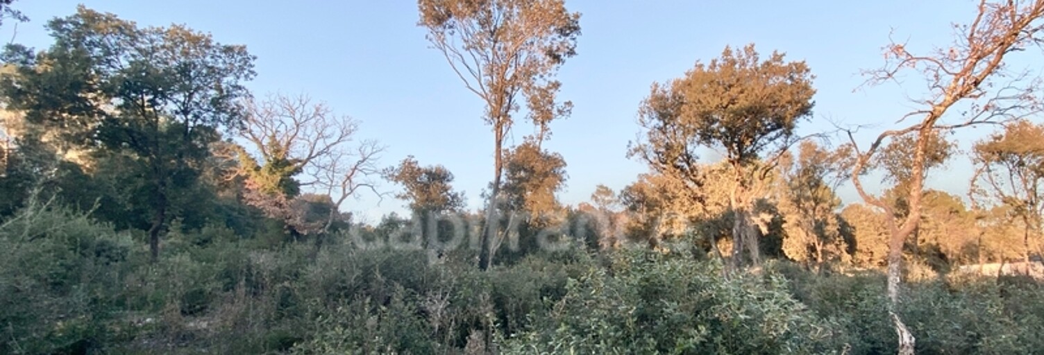 Terrain  1816 m² à vendre à Uzès (30700)