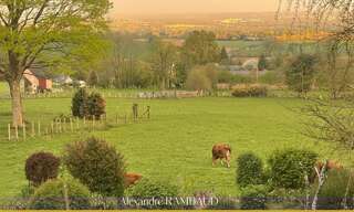 Maison 8 Pièces 231 m² à vendre à La Chapelle-Fleurigné (35133)