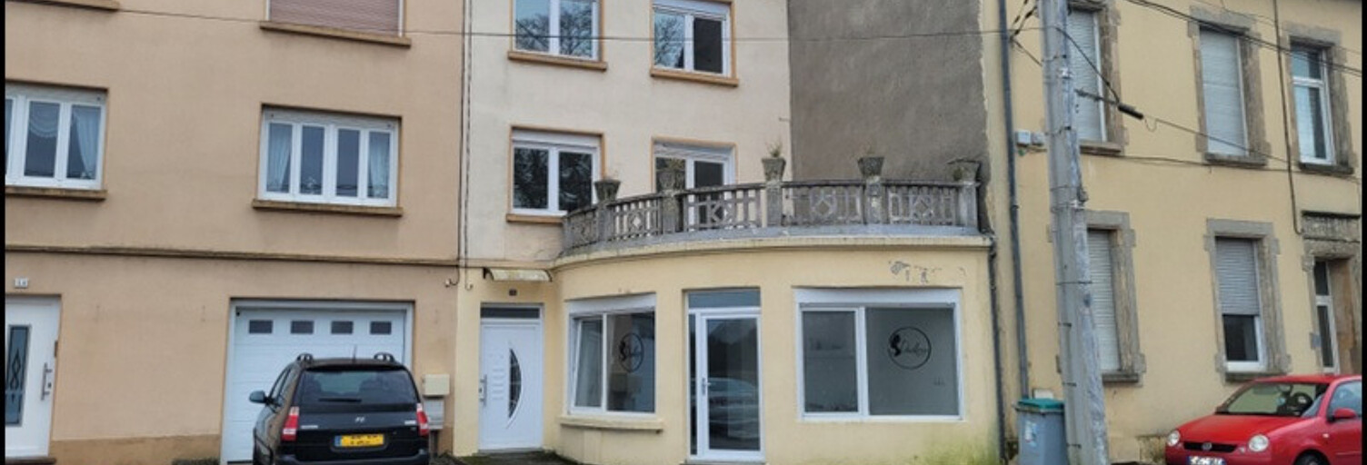 Maison 7 Pièces 170 m² à vendre à Sarralbe (57430)