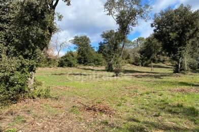 Terrain  99000 €