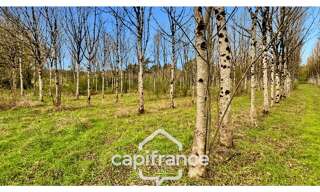 Maison 1 Pièce 30 m² à vendre à Monflanquin (47150)