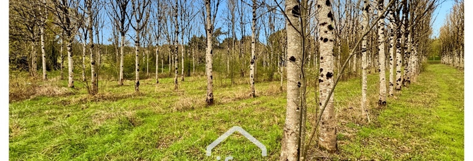 Maison 1 Pièce 30 m² à vendre à Monflanquin (47150)