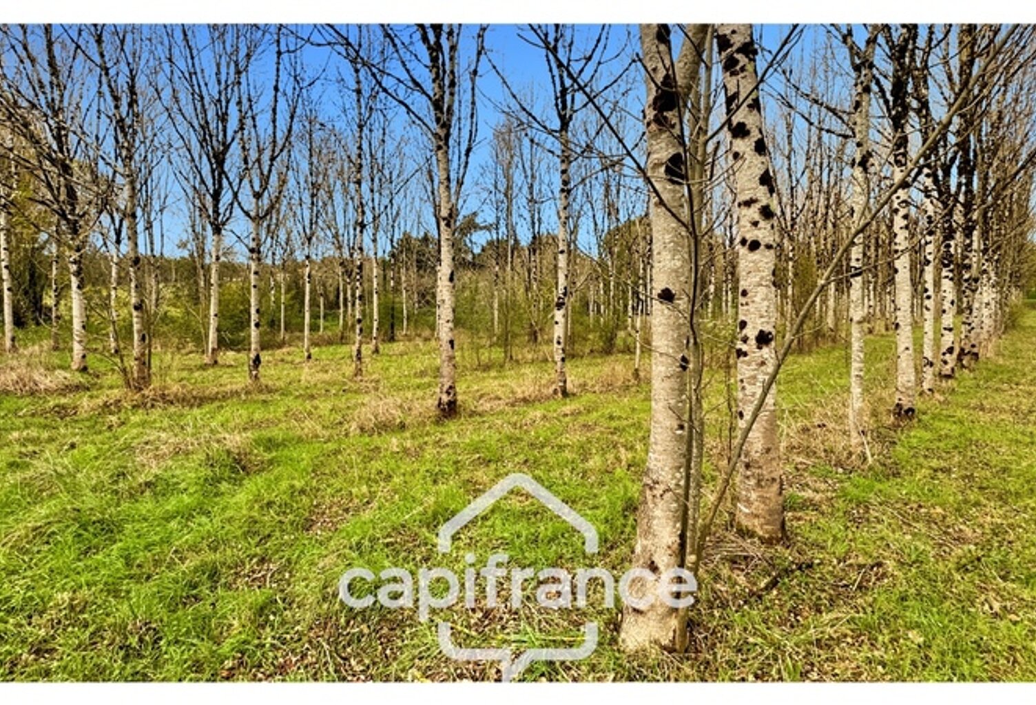 Rare sur le secteur ! Bergerie à rénover avec plus de 4,2 hectares de terrain – Monflanquin — photo 1