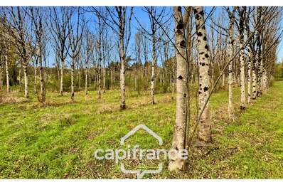 Rare sur le secteur ! Bergerie à rénover avec plus de 4,2 hectares de terrain – Monflanquin — photo du bien