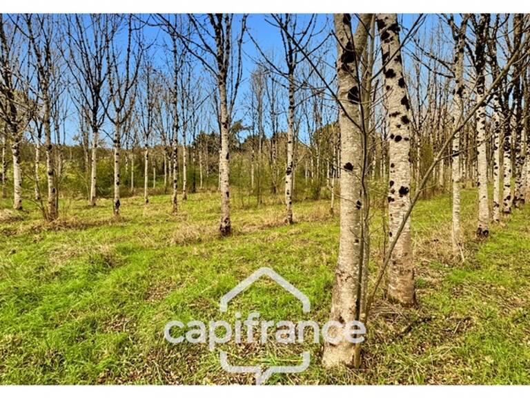 Rare sur le secteur ! Bergerie à rénover avec plus de 4,2 hectares de terrain – Monflanquin — photo 1