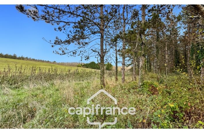 Rare sur le secteur ! Bergerie à rénover avec plus de 4,2 hectares de terrain – Monflanquin — photo 3