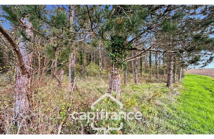Rare sur le secteur ! Bergerie à rénover avec plus de 4,2 hectares de terrain – Monflanquin — photo 4