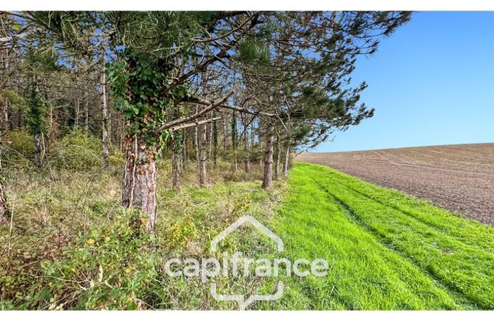 Rare sur le secteur ! Bergerie à rénover avec plus de 4,2 hectares de terrain – Monflanquin — photo 5