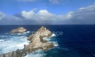 Commerce 46 Pièces 1363 m² à vendre à Saint-François (97118)