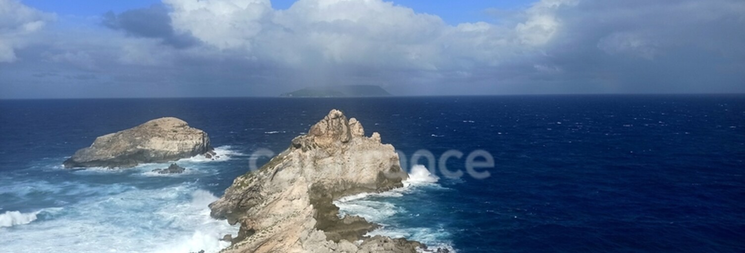 Commerce 46 Pièces 1363 m² à vendre à Saint-François (97118)