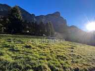 A vendre : Terrain d’Exception de 1530 m² – Vue Panoramique – Petit-Bornand-les-Glières (74) — photo 2