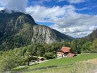 A vendre : Terrain d’Exception de 1530 m² – Vue Panoramique – Petit-Bornand-les-Glières (74) — photo 4