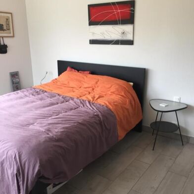 Appartement 1 pièces 520 €