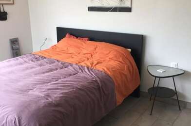 Appartement 1 pièces 520 €