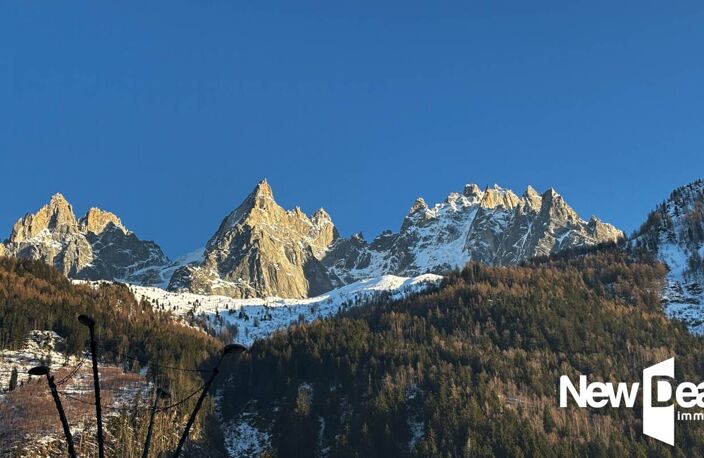 FONDS DE COMMERCE BAR RESTAURANT INSTITUTIONNEL CHAMONIX MONT BLANC CENTRE — photo 4