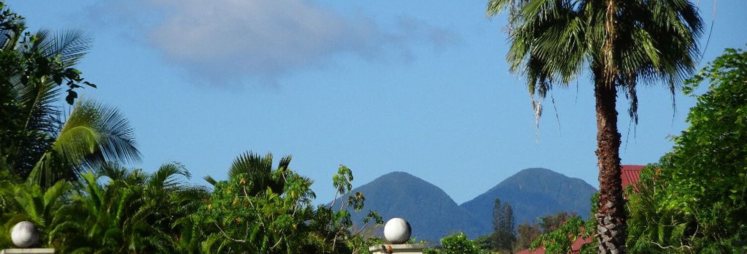 Appartement 4 Pièces 76 m² à vendre à Petit-Bourg (97170)