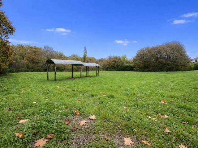 Terrain À Vendre 1 hectare — photo du bien