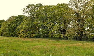 Terrain  5762 m² à vendre à Avanton (86170)