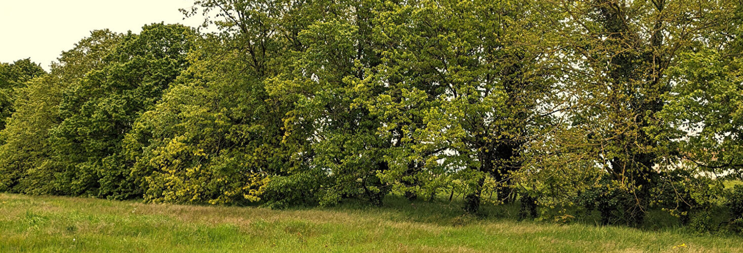 Terrain  5762 m² à vendre à Avanton (86170)