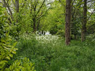 terrain — photo 2