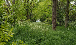 Terrain  3108 m² à vendre à Migné-Auxances (86440)