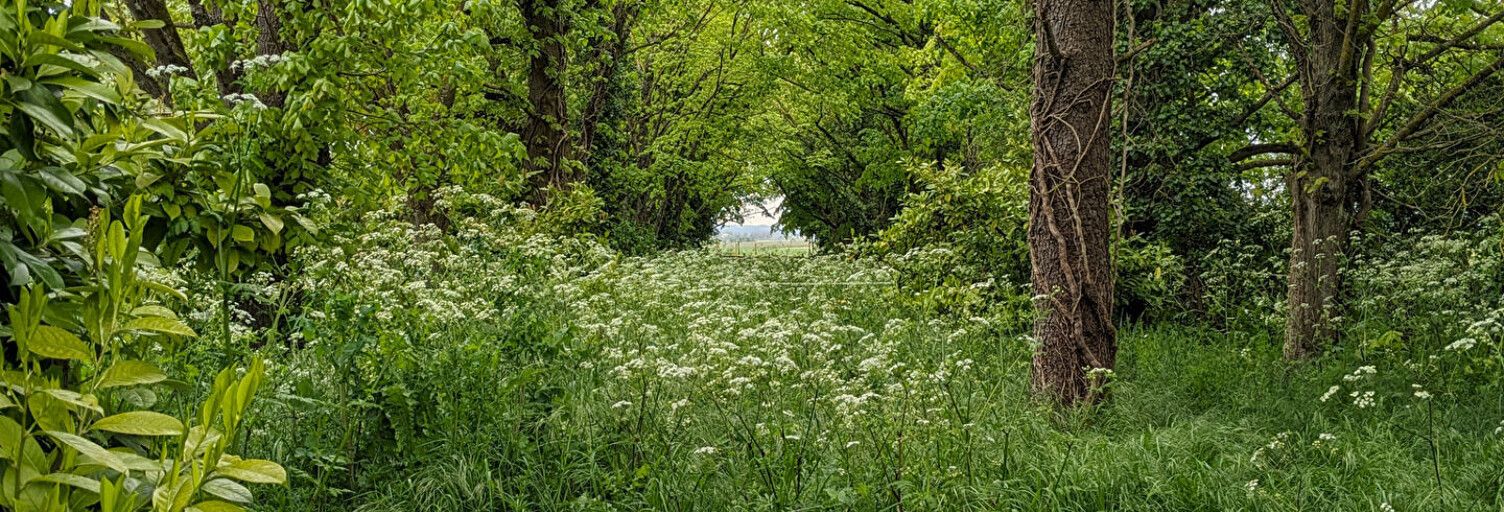 Terrain  3108 m² à vendre à Migné-Auxances (86440)