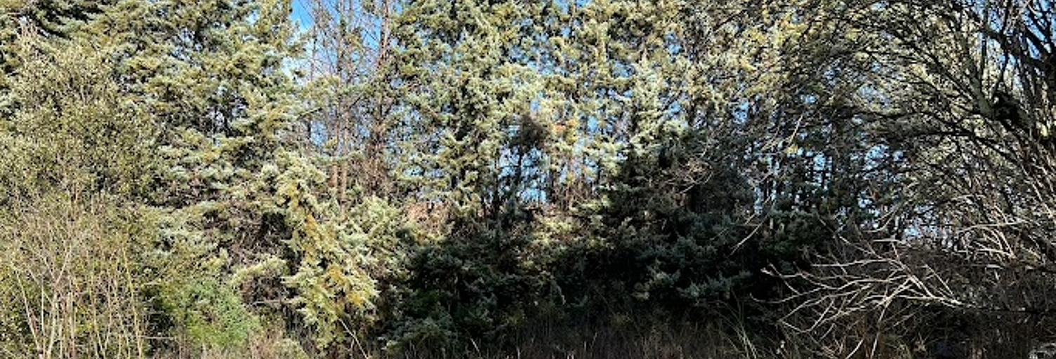 Terrain 800 m² à construire Trans-en-Provence (83720)