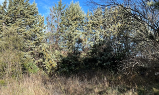 Terrain 800 m² à construire Trans-en-Provence (83720)