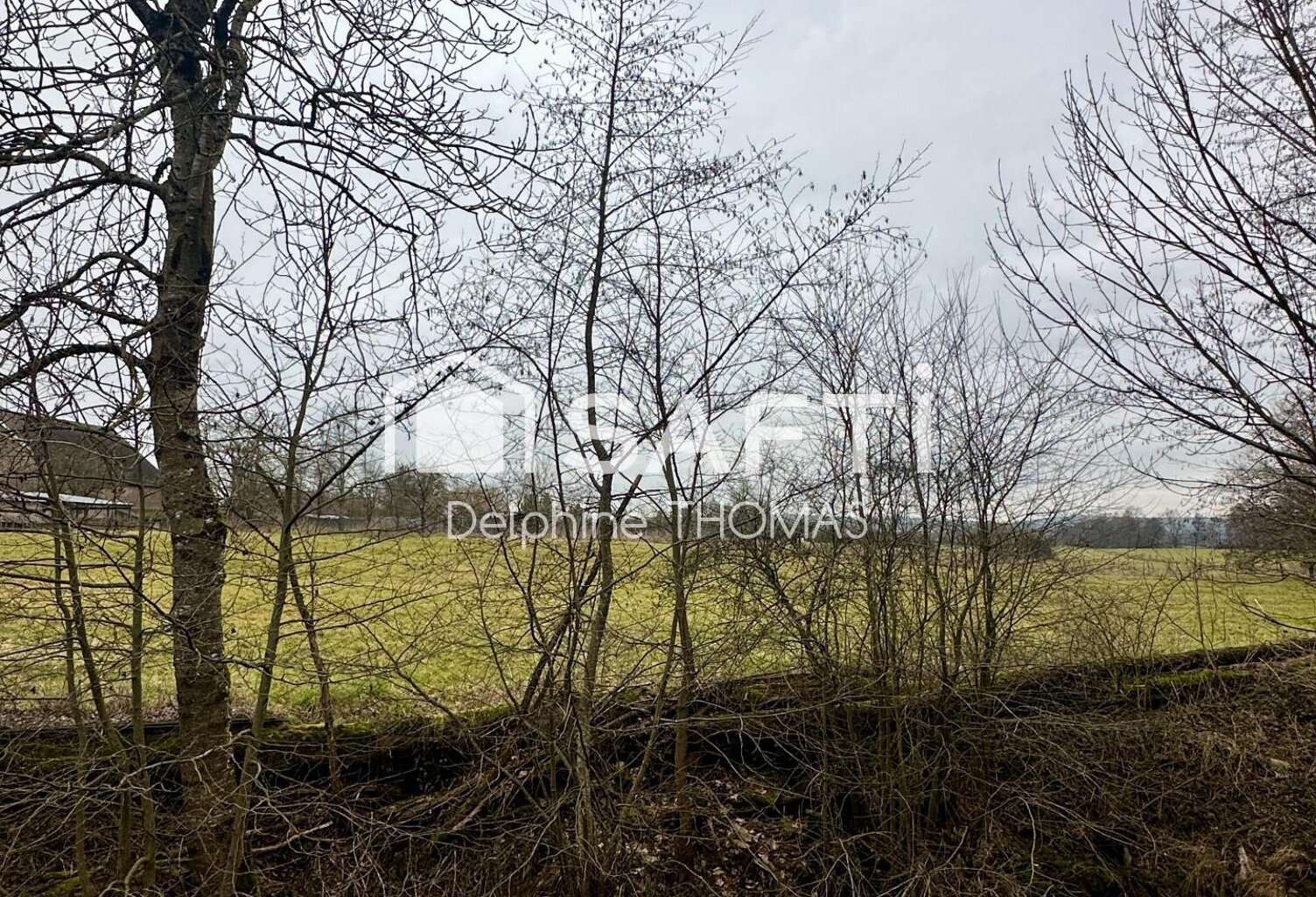 Terrain mixte — photo 1