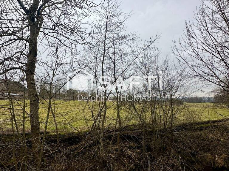 Terrain mixte — photo 1