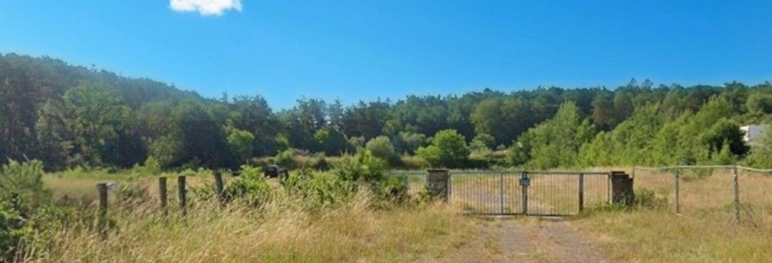 Local industriel  12818 m² à vendre à Creutzwald (57150)