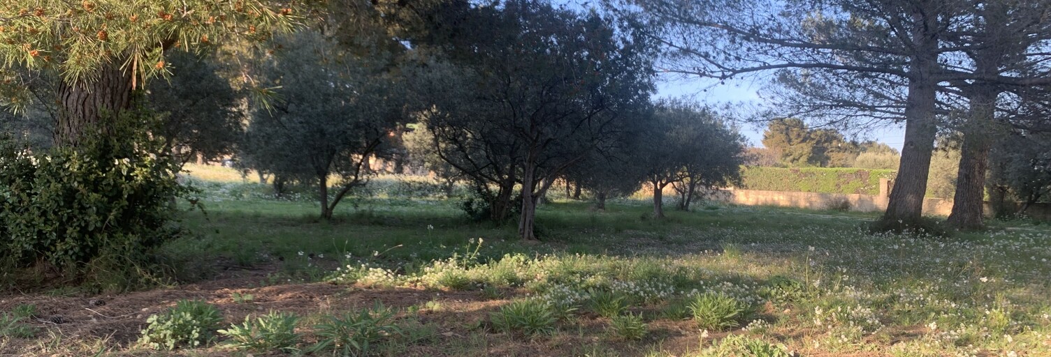 Terrain 657 m² à construire Saint-Chamas (13250)