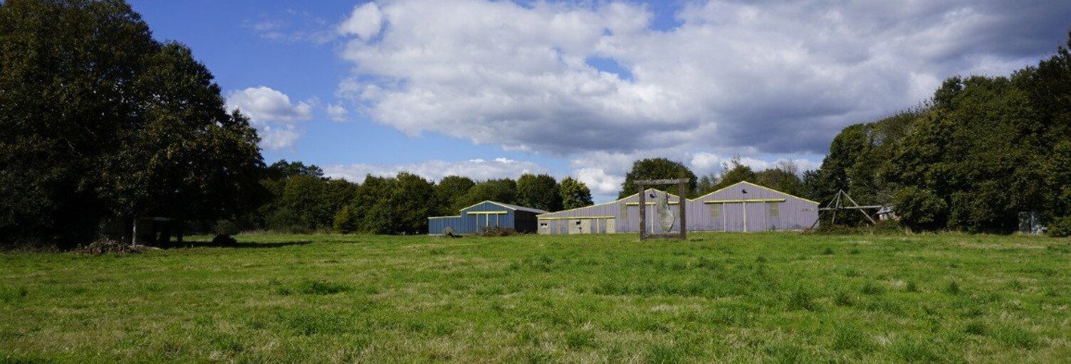 Commerce 1 Pièce  m² à vendre à Saint-Caradec-Trégomel (56540)