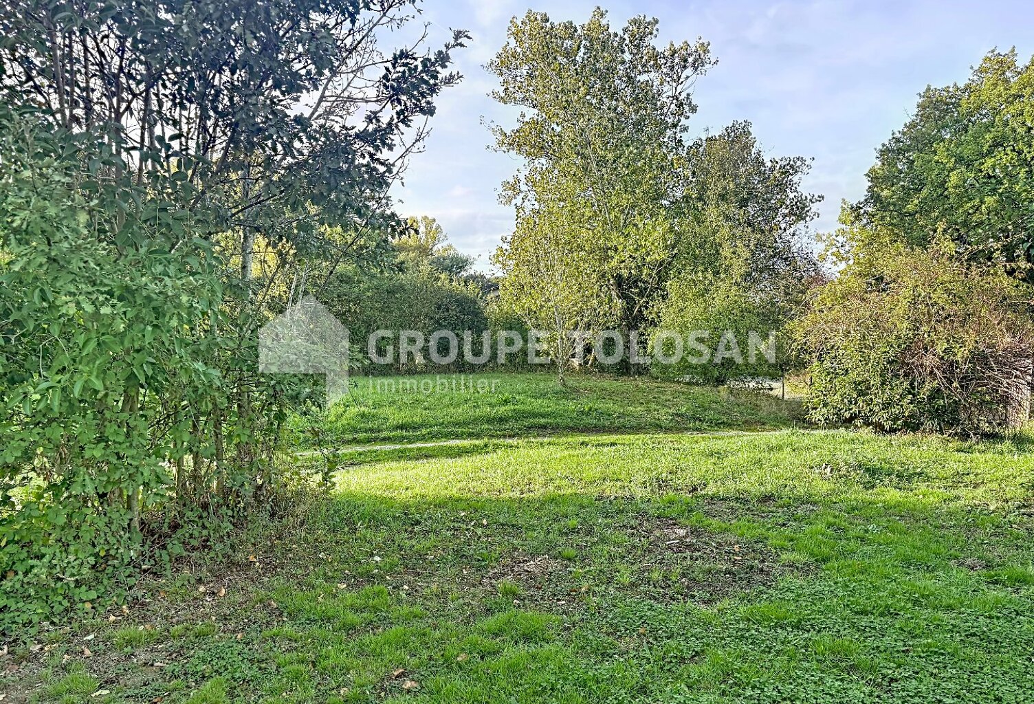 Terrain — photo 1