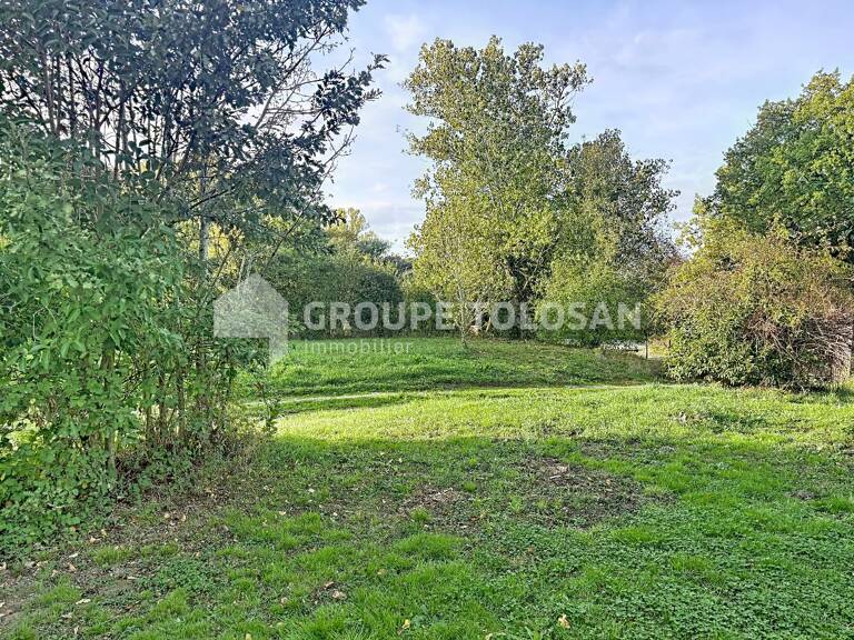 Terrain — photo 1