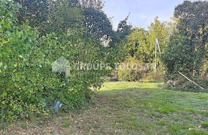 Terrain — photo 5