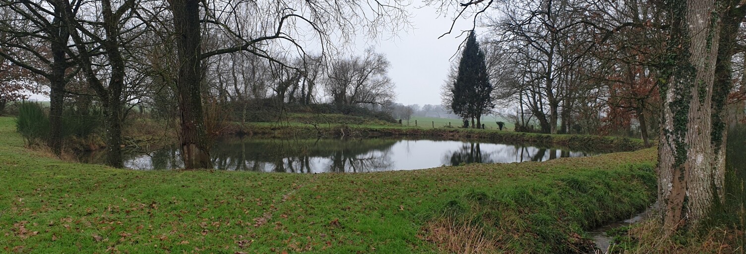 Terrain  6400 m² à vendre à Châteaugiron (35410)