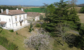 Maison 7 Pièces 244 m² à vendre à Duras (47120)