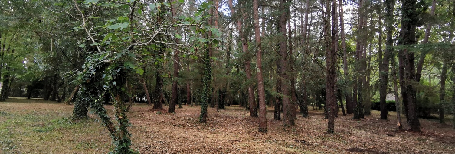 Terrain  5620 m² à vendre à Cenne-Monestiés (11170)