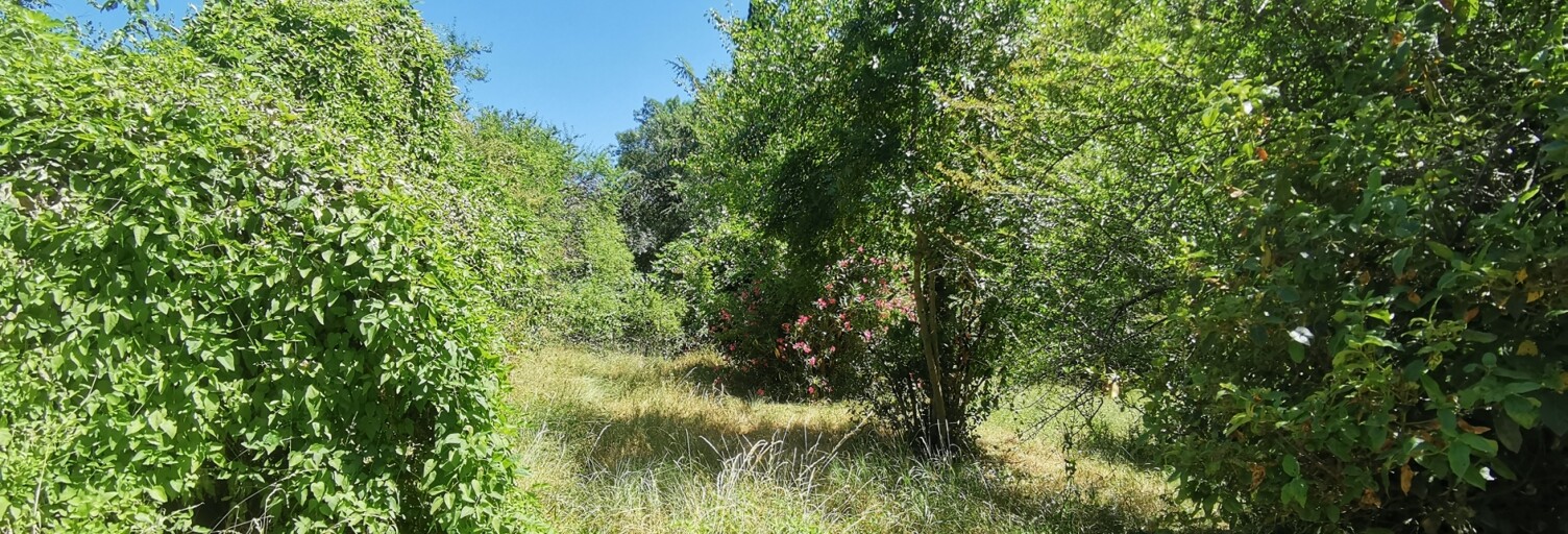 Terrain  5620 m² à vendre à Cenne-Monestiés (11170)