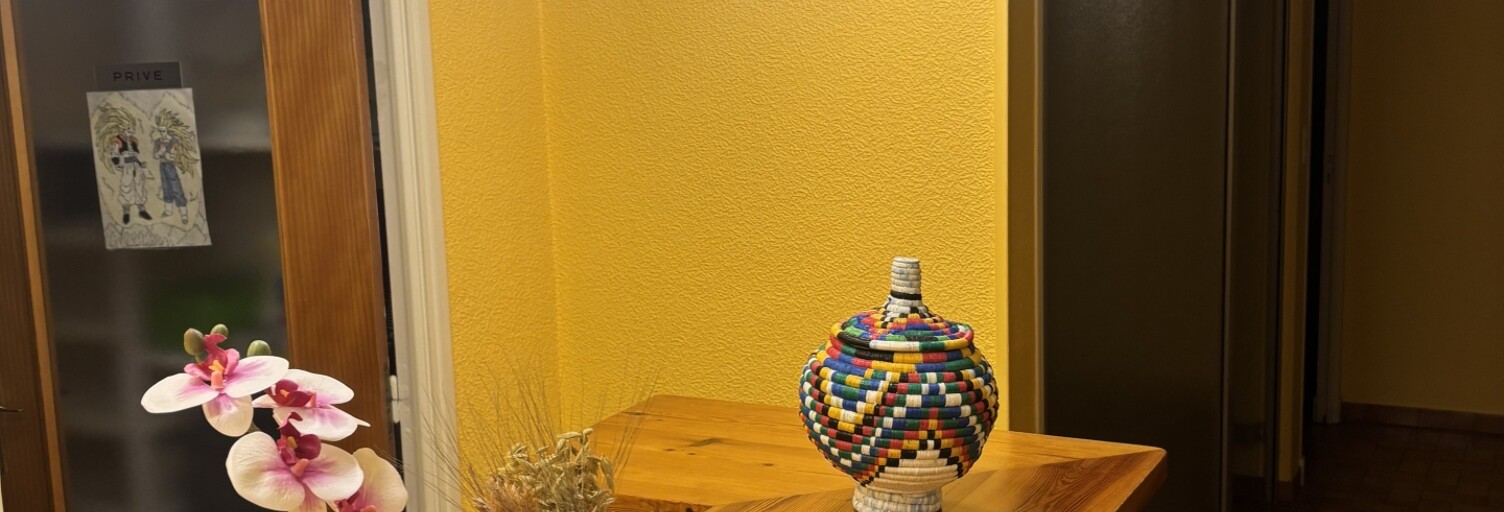 Appartement 4 Pièces 73 m² à vendre à Laragne-Montéglin (05300)