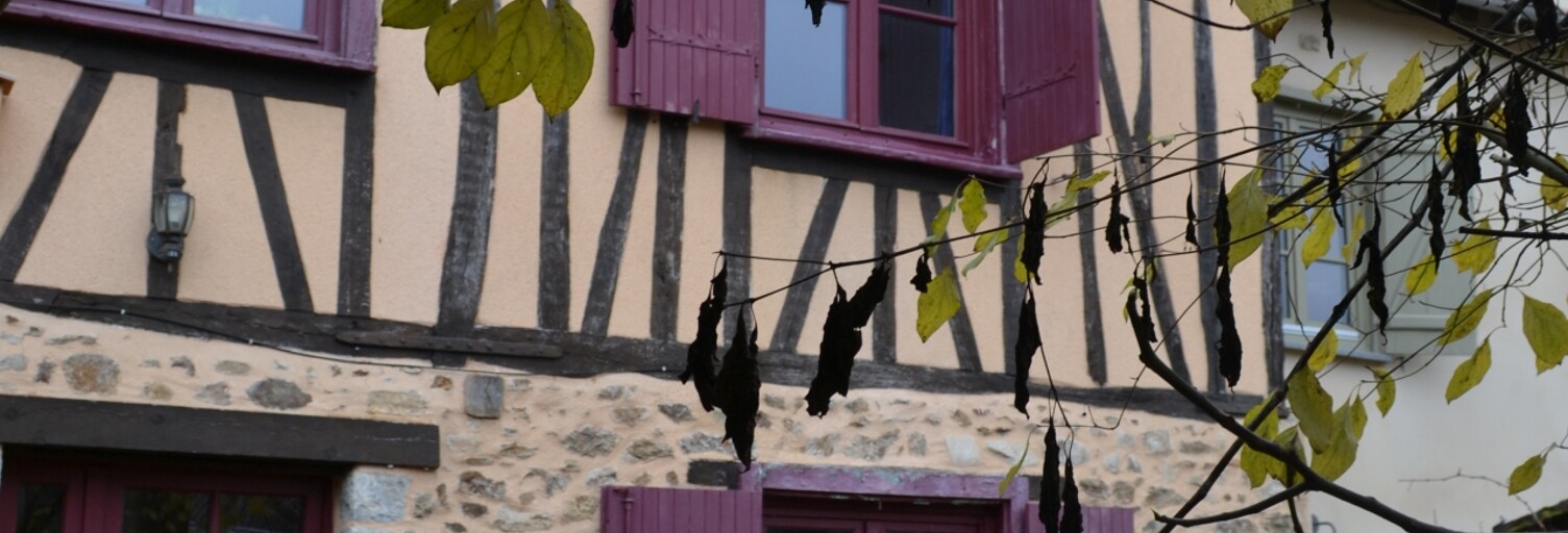 Maison 4 Pièces 101 m² à vendre à Limoges (87000)