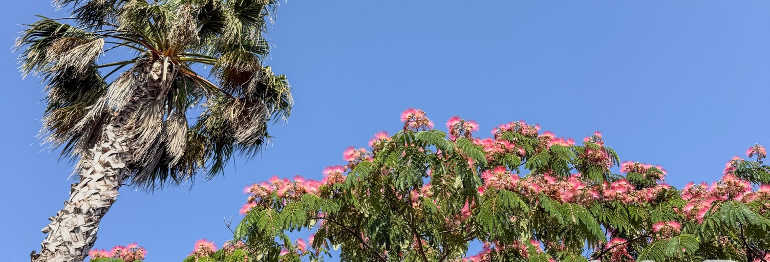 Maison 5 Pièces 145 m² à vendre à Toulon (83000)