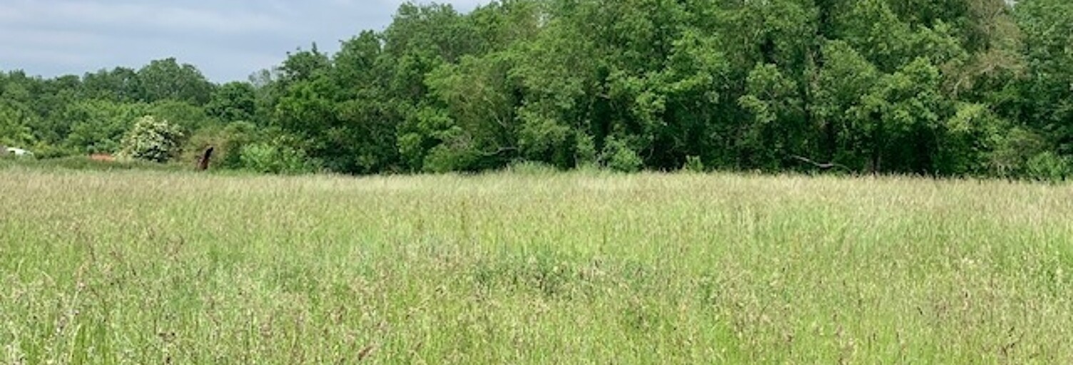 Terrain  1003 m² à vendre à Angliers (17540)