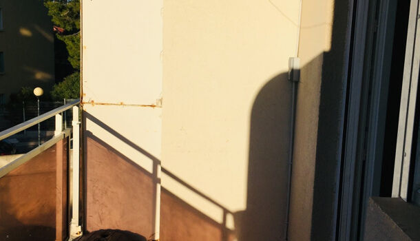 Appartement 2 pièces  à louer Marseille 8eme 13008