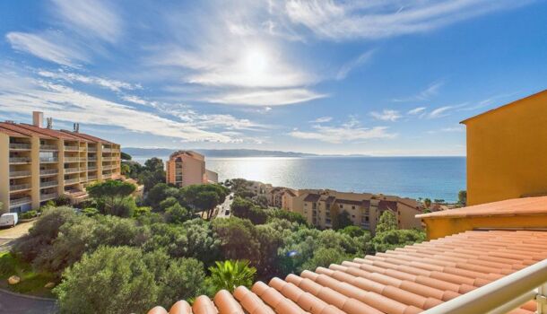 Appartement 2 pièces  à vendre Ajaccio 20000