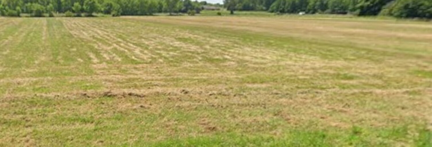 Terrain  1000 m² à vendre à Berson (33390)