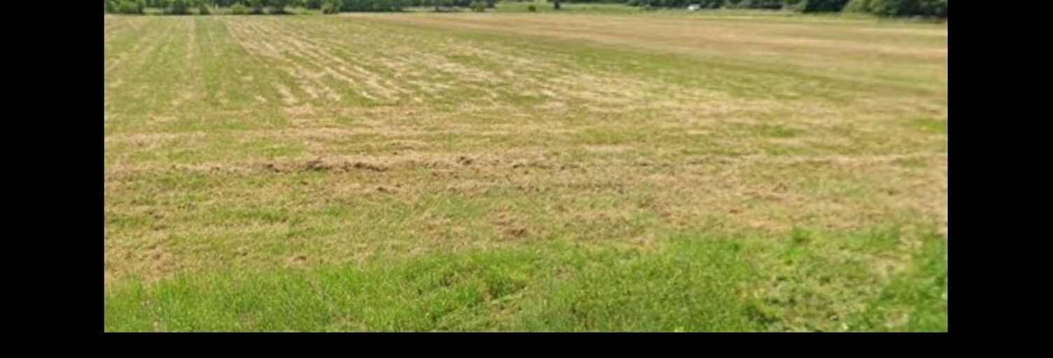 Terrain  1000 m² à vendre à Berson (33390)